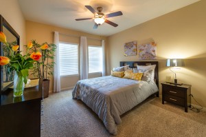One Bedroom Apartments for Rent in Katy, TX - Bedroom 